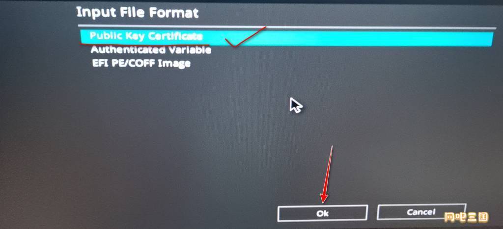 ASUS05.jpg